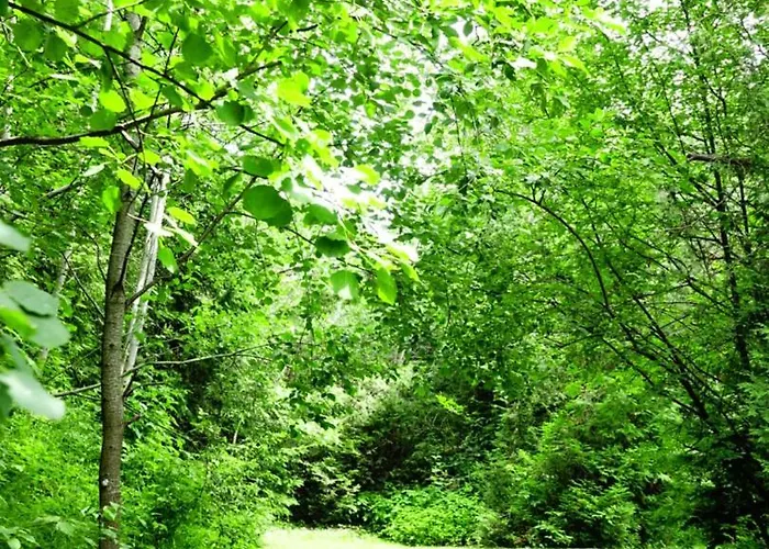 ホームステイ Bartek